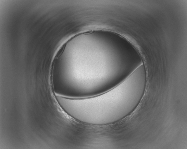X0000051870912200506241025
