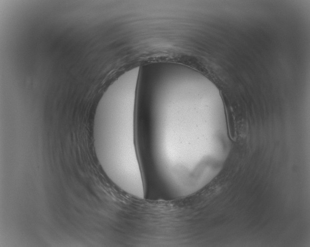 X0000051870916200506241024