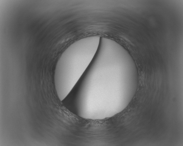 X0000051870917200506241024