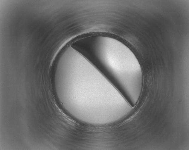 X0000051870926200506241024
