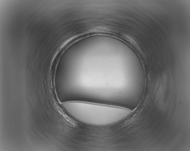 X0000051870931200506241024