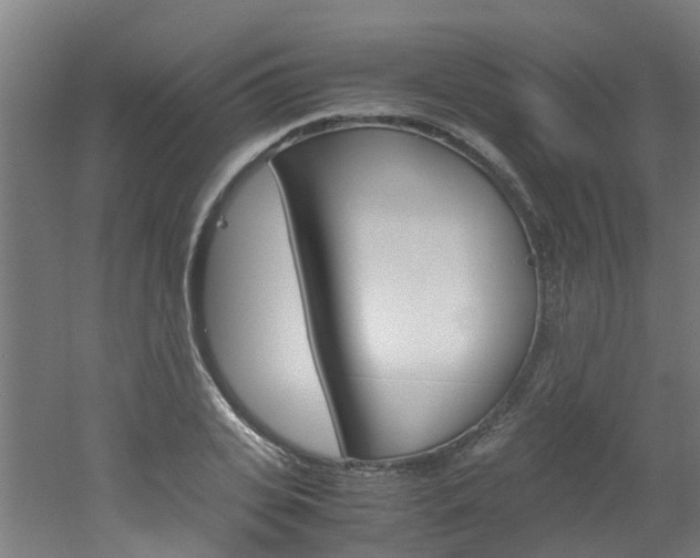 X0000051870935200506241024