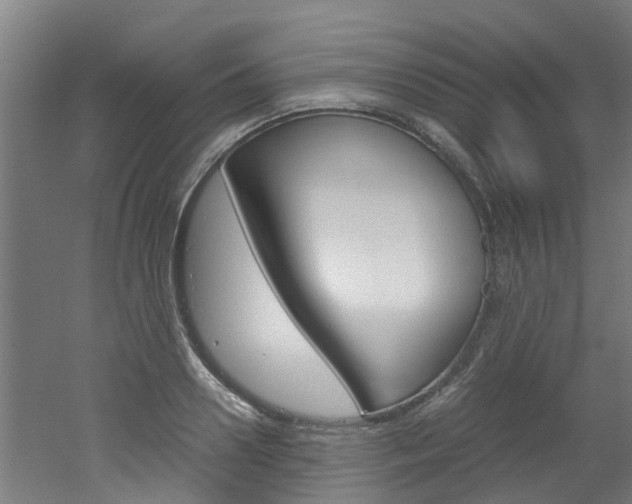 X0000051870938200506241024
