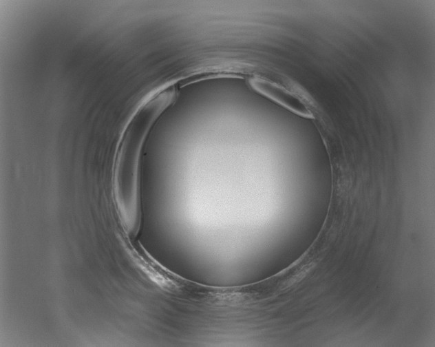 X0000051870940200506241024