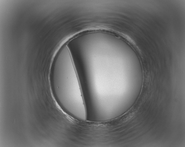 X0000051870943200506241024