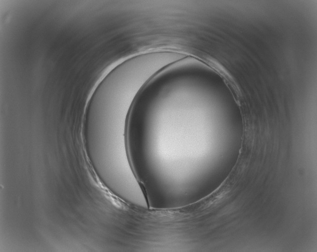X0000051870956200506241025
