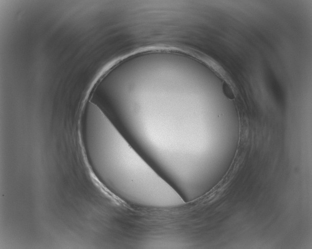 X0000051870958200506241025