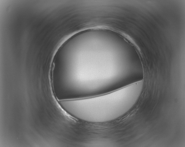 X0000051870959200506241025