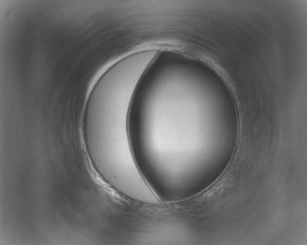 X0000051870960200506241025