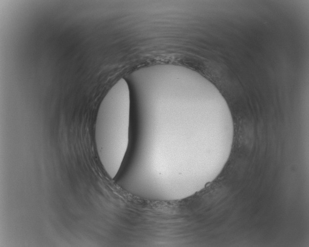 X0000051870962200506241024