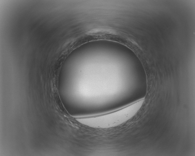 X0000051870965200506241024