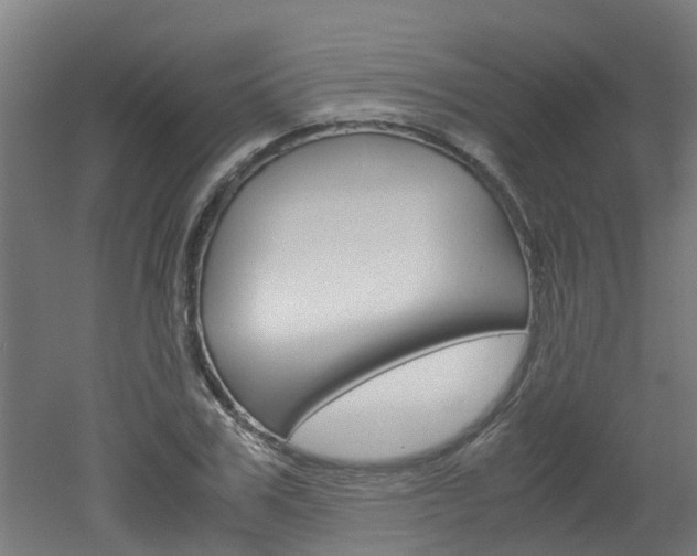 X0000051870979200506241024