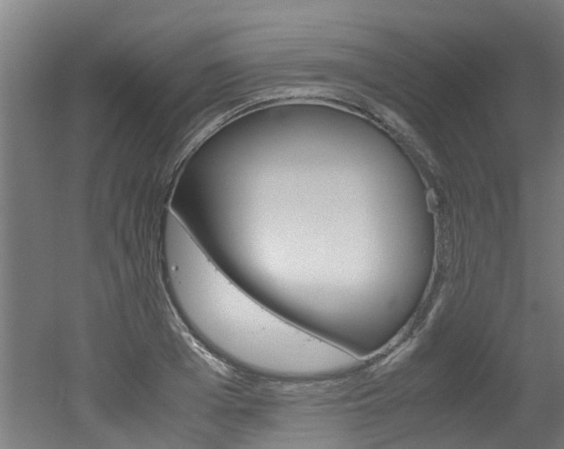 X0000051870985200506241024