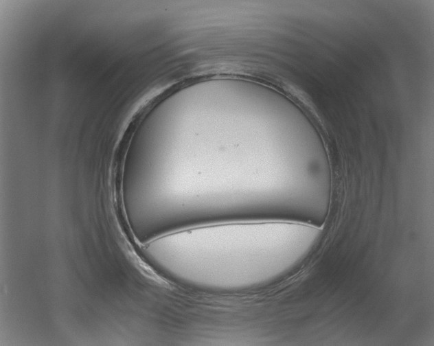 X0000051870987200506241024