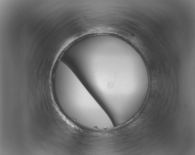 X0000051870990200506241023