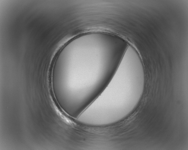 X0000051870995200506241023
