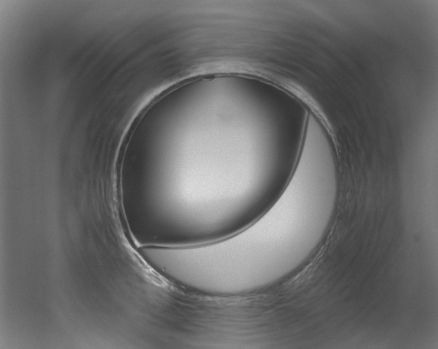X0000051870996200506241023