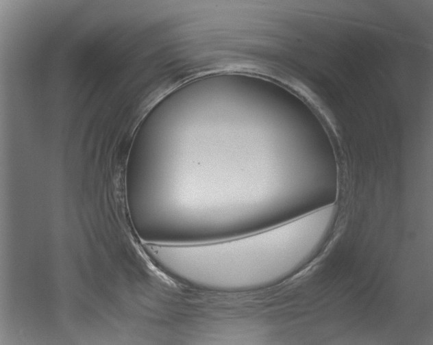 X0000051871001200506241023