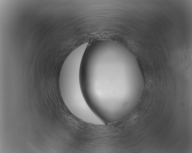 X0000051871010200506241022