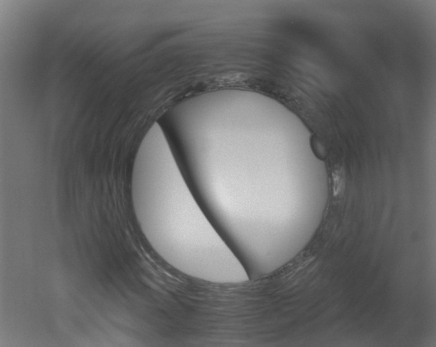 X0000051871011200506241022