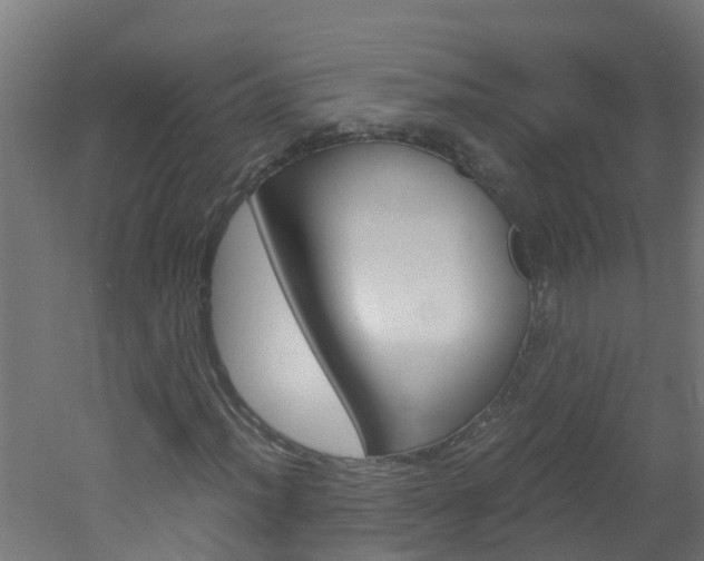 X0000051871012200506241022