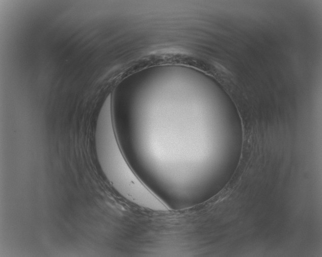 X0000051871014200506241022