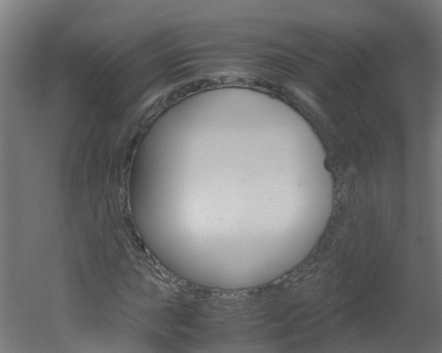 X0000051871015200506241022