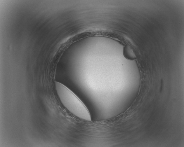 X0000051871016200506241022