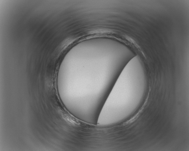 X0000051871017200506241022