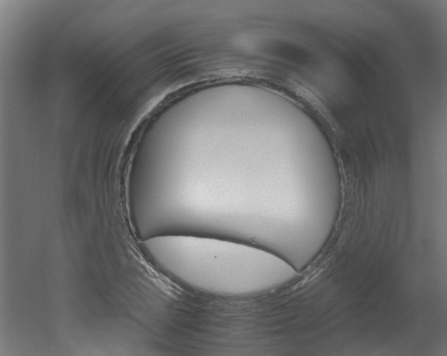 X0000051871023200506241023