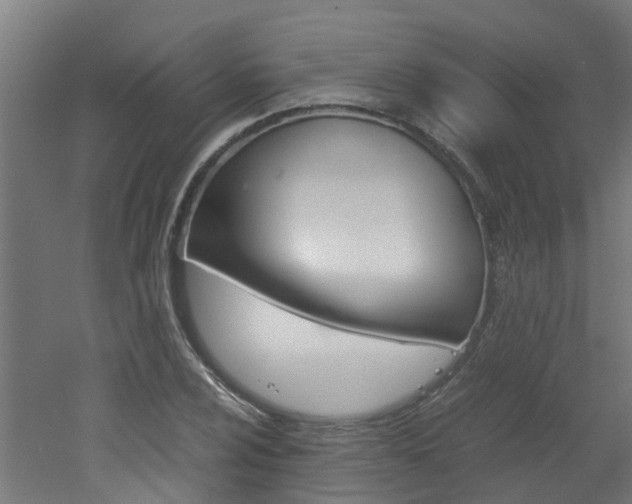 X0000051871024200506241023