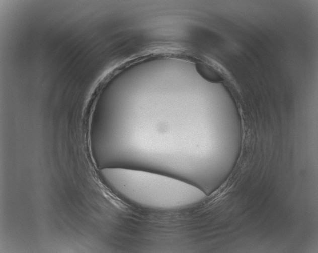 X0000051871027200506241023