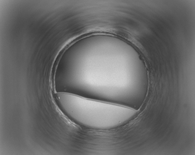 X0000051871028200506241023