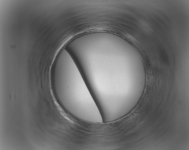 X0000051871039200506241023