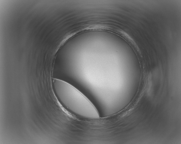 X0000051871041200506241023