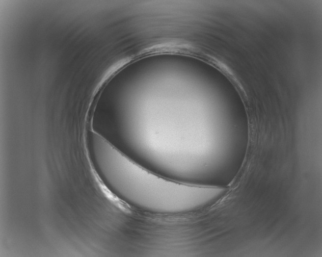 X0000051871042200506241023