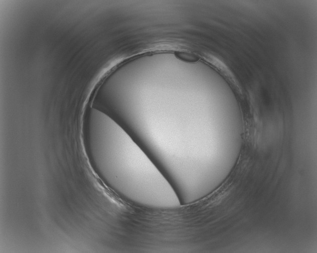 X0000051871043200506241023