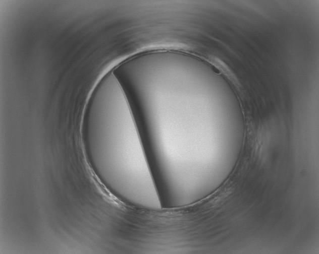 X0000051871044200506241023