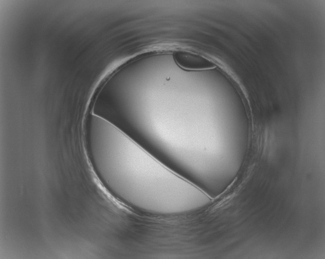 X0000051871045200506241023