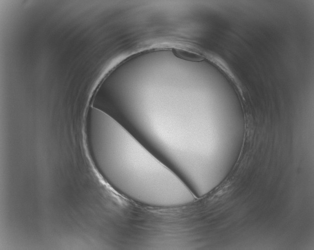 X0000051871048200506241023