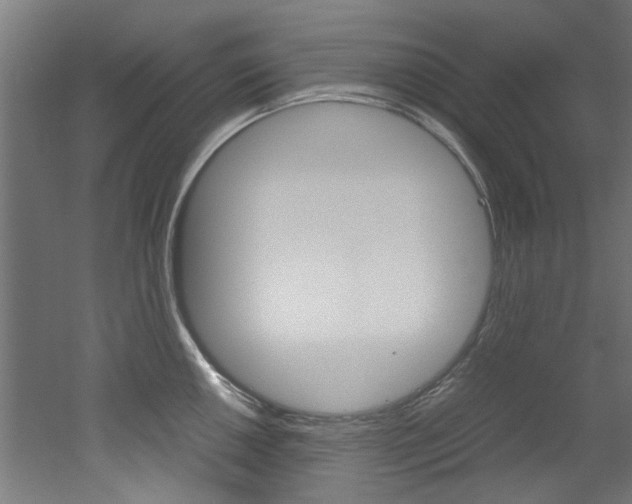X0000051871050200506241023