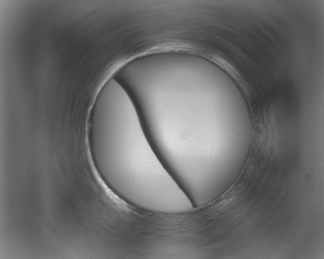 X0000051871055200506241023
