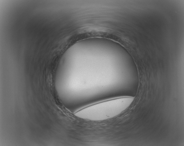 X0000051871061200506241022