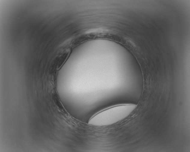 X0000051871062200506241022