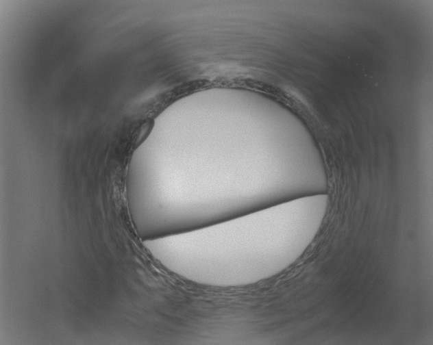 X0000051871063200506241022