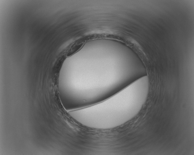 X0000051871064200506241022