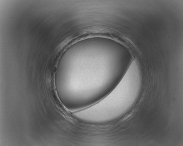 X0000051871065200506241022