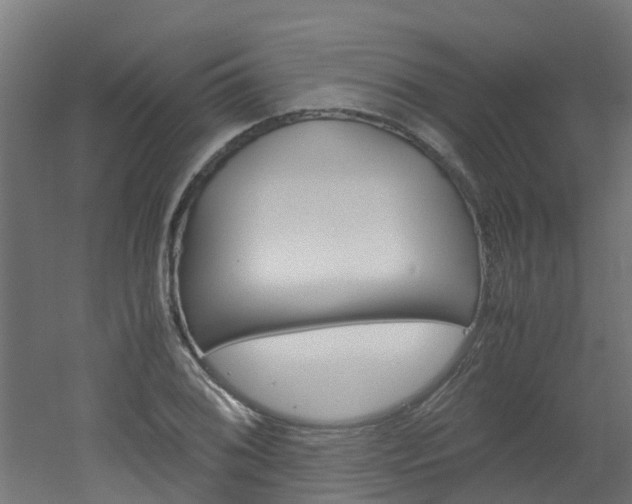 X0000051871076200506241022