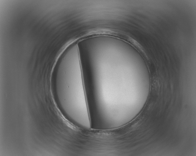 X0000051871082200506241022