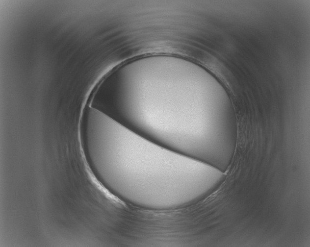 X0000051871084200506241022